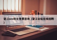 望江seo优化免费咨询（望江论坛在线招聘）